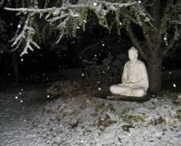20 февраля Там Куи проводит чтение мантры Будды Амитабхи