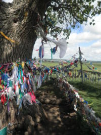 Восемь видов буддийских ступ возведут в Калмыкии у Одинокого дерева